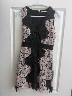 Alice + Olivia Black and Blush Floral Lace V-Neck Fit-and-Flare Dress